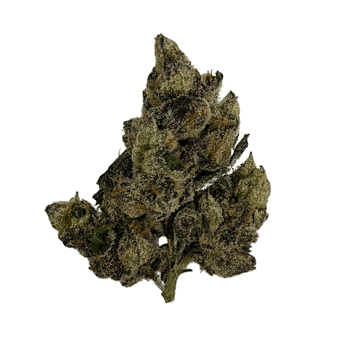 Chyll Flower - Tropical Runtz 3.5g *Top Shelf*